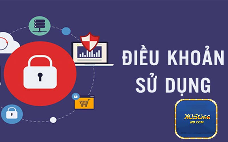Điều khoản và điều kiện